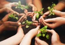 Jerónimo Villarreal Soto: la voz joven que lidera la lucha contra el cambio climático en México Conservación del medio ambiente en México