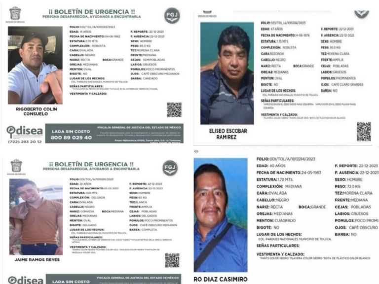 Ficha de búsqueda de vendedores de pollo en Toluca