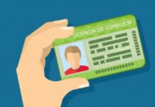 Edomex lanza sistema de renovación de licencias por correo Licencia de Conducir