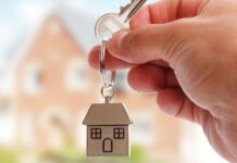 Nueva Reforma en la CDMX: arrendadores no podrán rechazar a inquilinos con niños o mascotas Compra de casas y terrenos