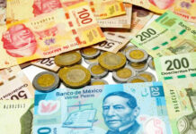 ¿Desaparecerá al billete de $20 pesos? Banxico confirma su retiro gradual Dinero mexicano