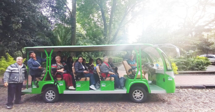 Ecotour en San Ángel, CDMX