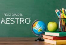 Día del Maestro en Edomex: docentes advierten cambios en las aulas y pérdida de reconocimiento social Día del Maestro