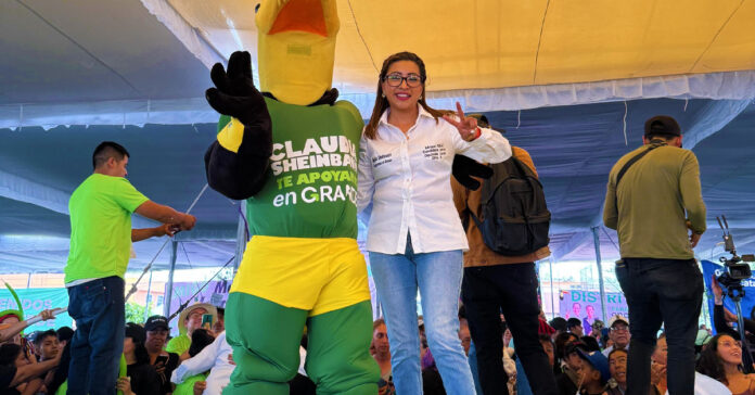 Miriam Silva Mata - PVEM - Ecatepec