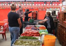 San Mateo Atenco refuerza vigilancia sanitaria en comercios; inspeccionan 80 establecimientos Puesto de tacos