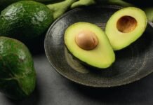 Michoacán: se destruyen remesas de aguacate por presunta presencia del gusano barrenador Aguacate