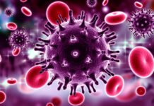 Brote gastrointestinal en crucero en Francia activa protocolos sanitarios; decenas presentan síntomas de norovirus Ilustración de un virus