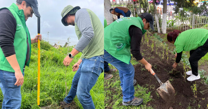 Luis Carballo - Reforestación en San Nicolás Peralta, Lerma