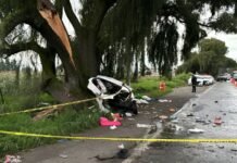 Muere pareja tras chocar contra un árbol en la carretera Toluca-Zitácuaro Accidente-carretera-Toluca-Tenango