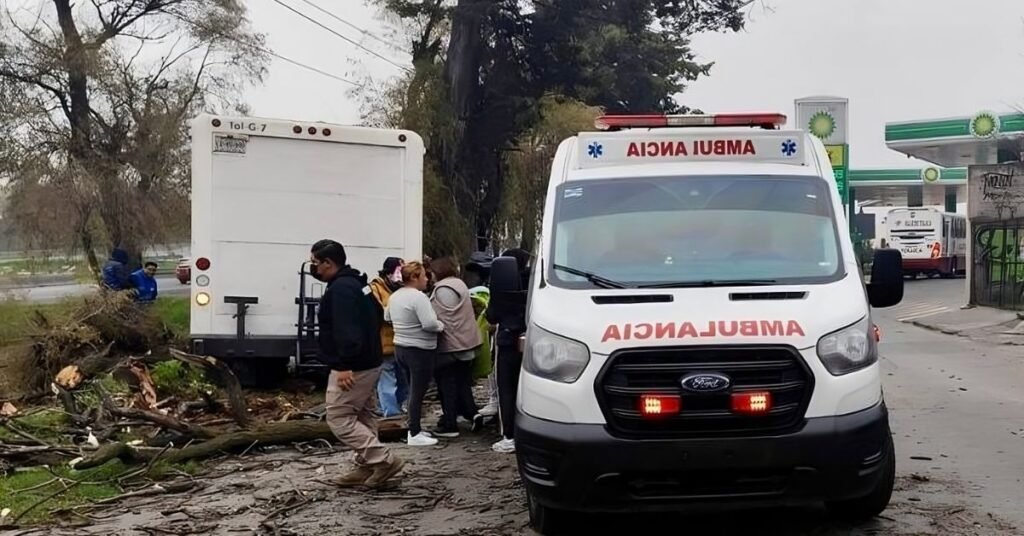 Camión de carga se estrella contra un árbol en Toluca