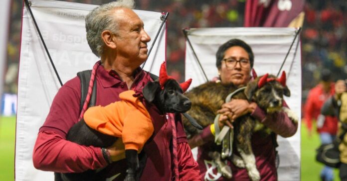 Adopción-perros-estadio-Toluca