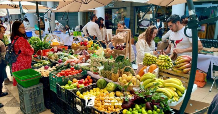 Mercado-Agroecológico-Toluca