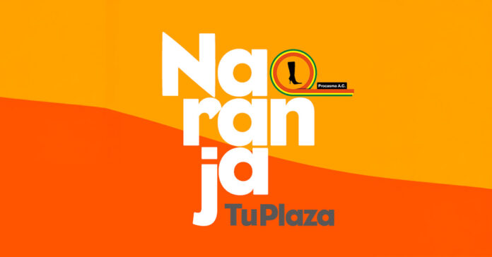 Plaza Naranja "Procasma" - San Mateo Atenco