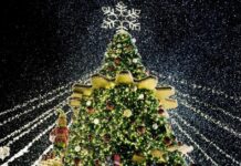 Navidad en Toluca 2025: actividades, espectáculos y fechas clave Árbol de navidad