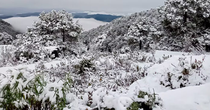 Nevada en el Cerro Xocotépetl, Jocotitlán