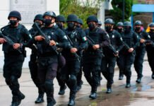 INEGI confirma caída de 15.5% en delitos en el Estado de México: baja el crimen, gobierno de Delfina Gómez Operativo policial - Policías