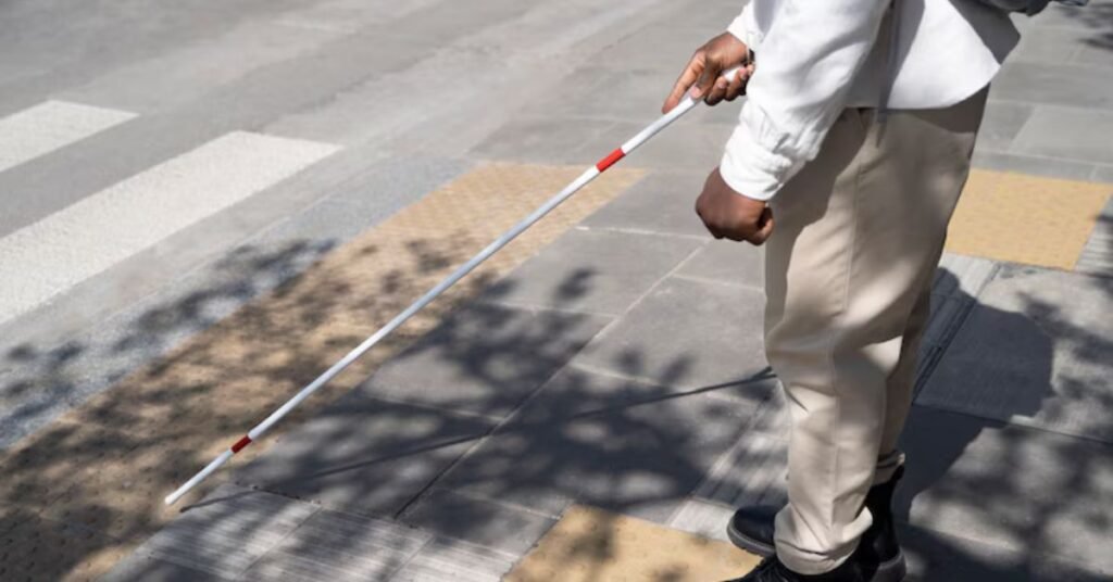 La realidad de las personas con discapacidad visual en Toluca: Una ...