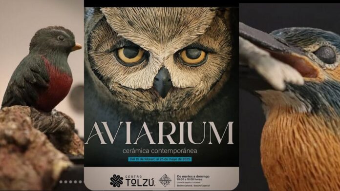 Aviarium-exposición-Toluca