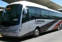Empresas de autobuses prevén caída de usuarios tras ampliación del Tren Interurbano Caminante-transporte-autobus