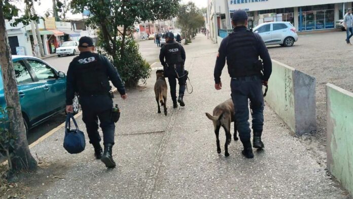 Operativo de seguridad-Toluca-Policia-Perros