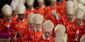 Cardenales en el Cónclave 2025