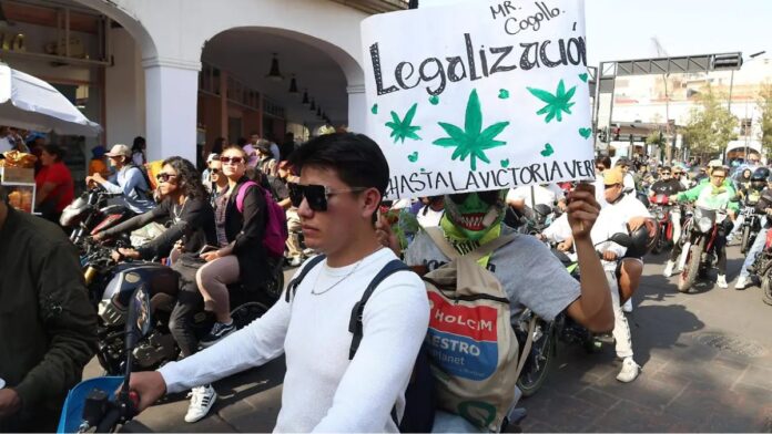octava edición- Marcha Canábica- Toluca