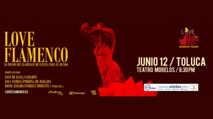 Love Flamenco-Toluca