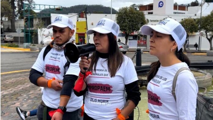 Marcha-derechos de los animales-Toluca