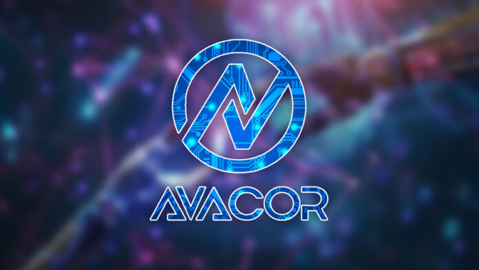 Avacor - Empresa - Anna Viesca Sánchez