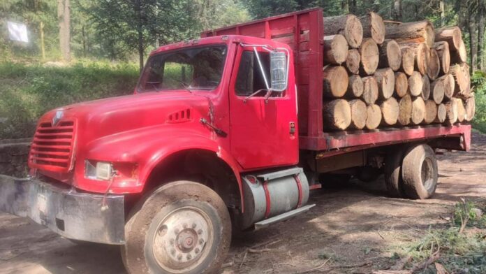 Camión con madera-Troncos-Talamontes-Tala de madera ilegal