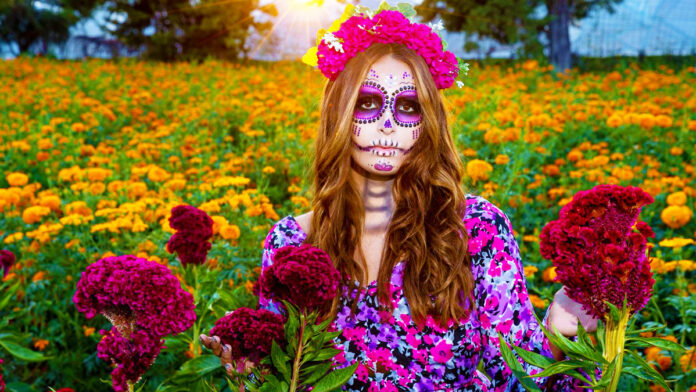 Catrina en campo de cempasúchil