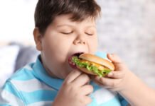SCJN confirma prohibición de comida chatarra en escuelas y universidades Obesidad infantil