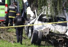 Trágico accidente en Paseo Tollocan: dos jóvenes pierden la vida al chocar contra un árbol Accidente-San Mateo Atenco-Tollocan-Toluca