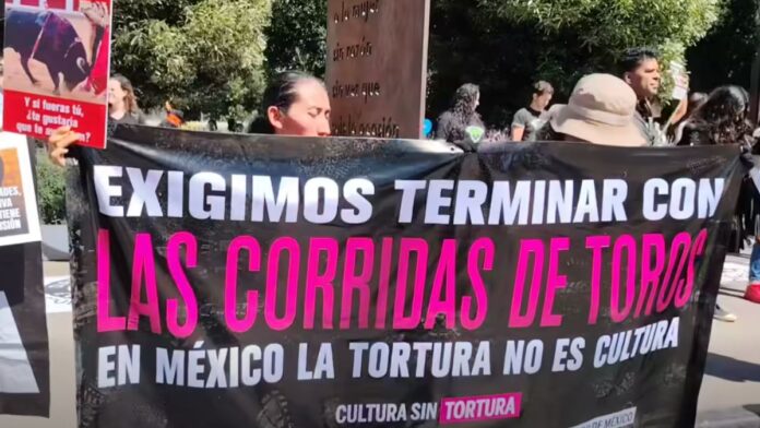 Activistas-prohibición- corridas de toros- peleas de gallos-Edomex