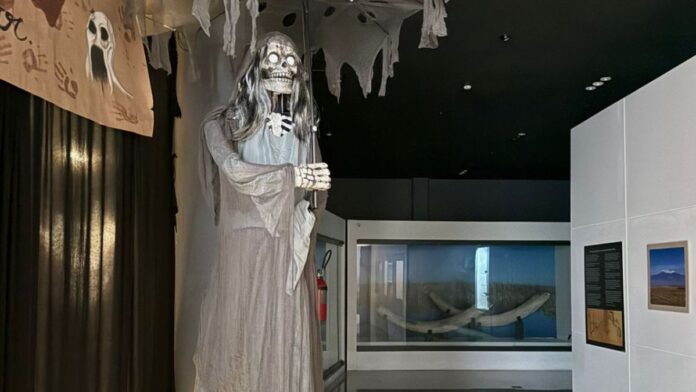 Museo del Terror y de Leyendas 2025- San Mateo Atenco Museo del Terror y de Leyendas 2025- San Mateo Atenco