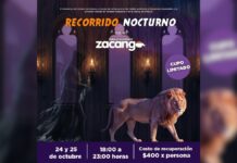 Recorridos nocturnos en el Zoológico de Zacango: una experiencia para disfrutar en octubre Recorridos nocturnos- Zoológico de Zacango-Octubre