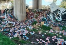 Accidente en la México–Toluca: tráiler cargado con jabón se vuelca en La Marquesa Tráiler cargado de detergente volcó- Autopista México-Toluca