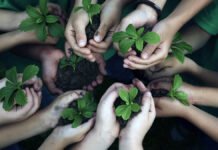 Nueva LGEEPA: Cámara de Diputados abre audiencias para actualizar la legislación ambiental Defensa del medio ambiente