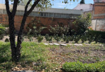 Yazmin Nájera impulsa programas comunitarios junto al CIJ Toluca y CESAVEM Huerto del CIJ Toluca