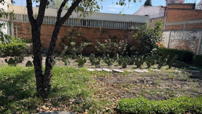 Huerto del CIJ Toluca