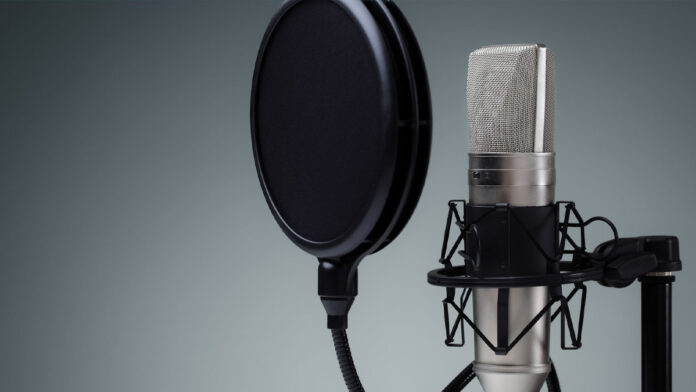 Micrófono profesional Micrófono profesional