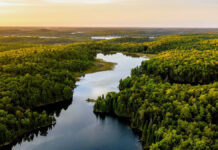 Abraham Geronimo Villarreal Soto: mediación ambiental como herramienta de justicia social Río - Bosque - Medio Ambiente