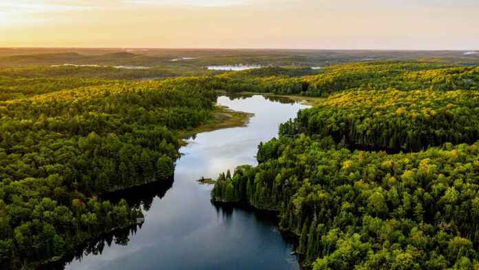 Río - Bosque - Medio Ambiente Río - Bosque - Medio Ambiente