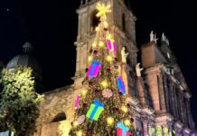 Toluca da la bienvenida a la Navidad con el encendido de su árbol navideño 2025-2026 Árbol navideño-Toluca 2025-2026