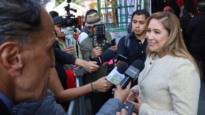 San Mateo Atenco-Reciclaje-Árboles de navidad San Mateo Atenco-Reciclaje-Árboles de navidad