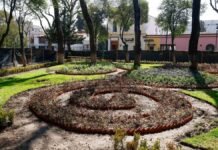 Alameda Central de Toluca continúa sin fecha oficial de reapertura Alameda Central-Remodelación-Toluca