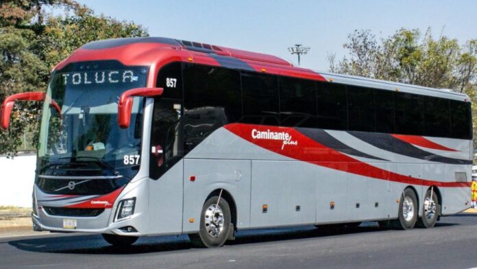 Caminante-Transporte