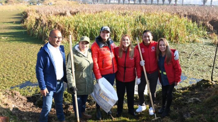 Jornada de Reforestación-San Mateo Atenco