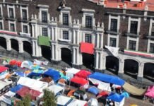 Maestros mantienen plantón en Toluca buscan reconocimiento laboral y académico Maestros mantienen plantón en Toluca.