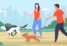 Caminata Perrona 2026 en Toluca: ejercicio y mascotas Caminata-mascotas-perros